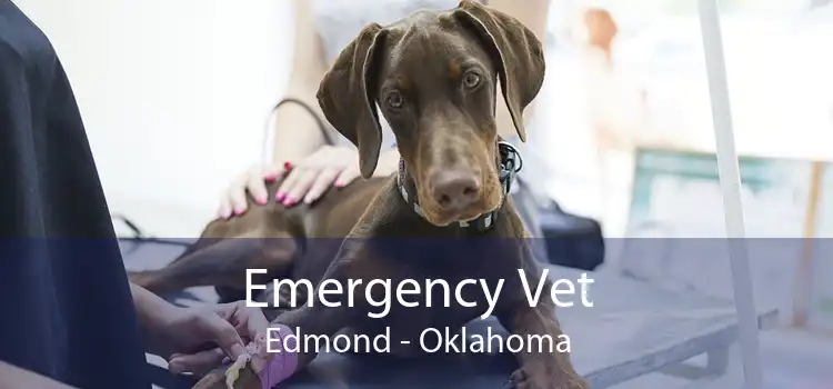 Emergency Vet Edmond - Oklahoma