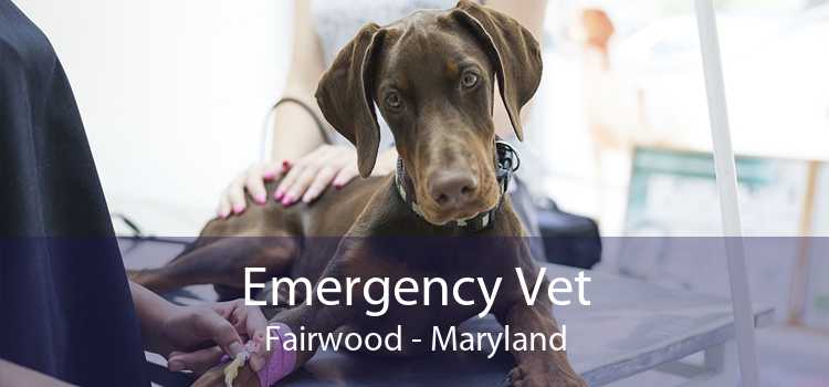 Emergency Vet Fairwood - Maryland