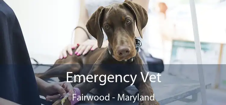 Emergency Vet Fairwood - Maryland