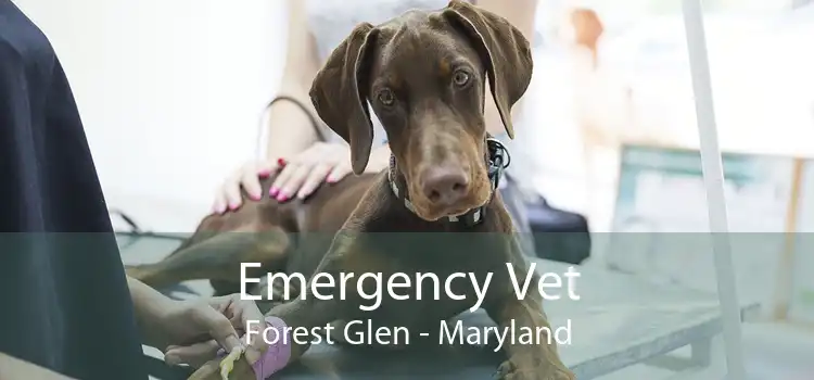 Emergency Vet Forest Glen - Maryland