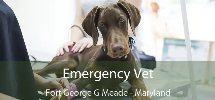 Emergency Vet Fort George G Meade - Maryland