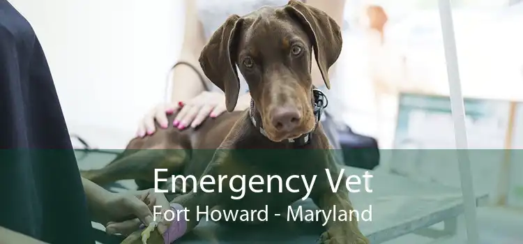 Emergency Vet Fort Howard - Maryland