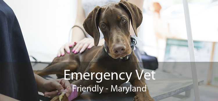 Emergency Vet Friendly - Maryland