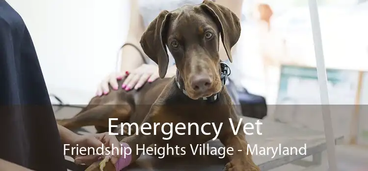 Emergency Vet Friendship Heights Village - Maryland