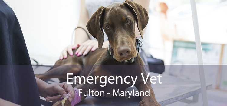 Emergency Vet Fulton - Maryland