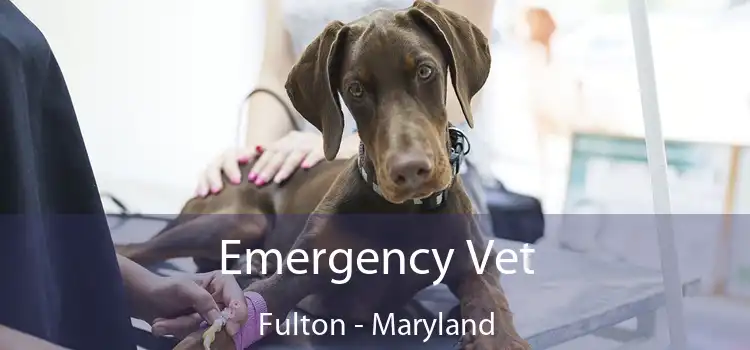 Emergency Vet Fulton - Maryland