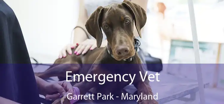 Emergency Vet Garrett Park - Maryland