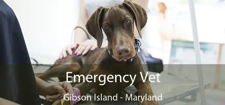 Emergency Vet Gibson Island - Maryland