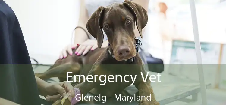 Emergency Vet Glenelg - Maryland