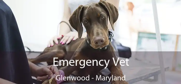 Emergency Vet Glenwood - Maryland