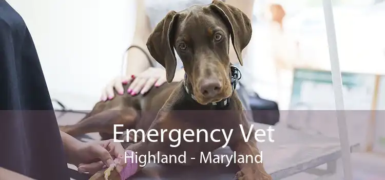 Emergency Vet Highland - Maryland