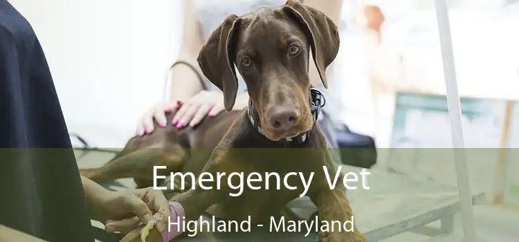 Emergency Vet Highland - Maryland