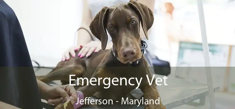 Emergency Vet Jefferson - Maryland