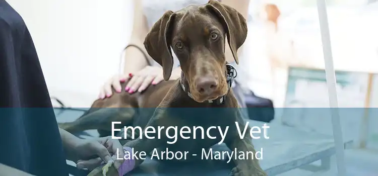 Emergency Vet Lake Arbor - Maryland