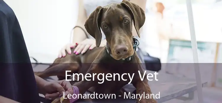 Emergency Vet Leonardtown - Maryland