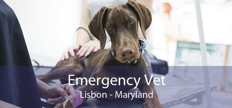 Emergency Vet Lisbon - Maryland