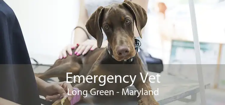 Emergency Vet Long Green - Maryland
