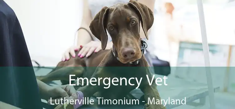 Emergency Vet Lutherville Timonium - Maryland