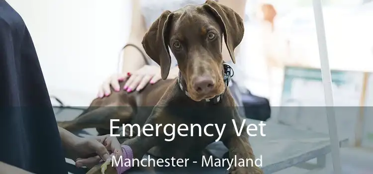 Emergency Vet Manchester - Maryland