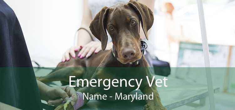 Emergency Vet Name - Maryland