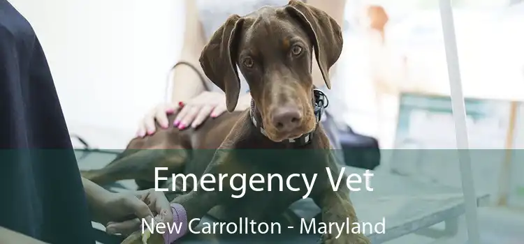 Emergency Vet New Carrollton - Maryland