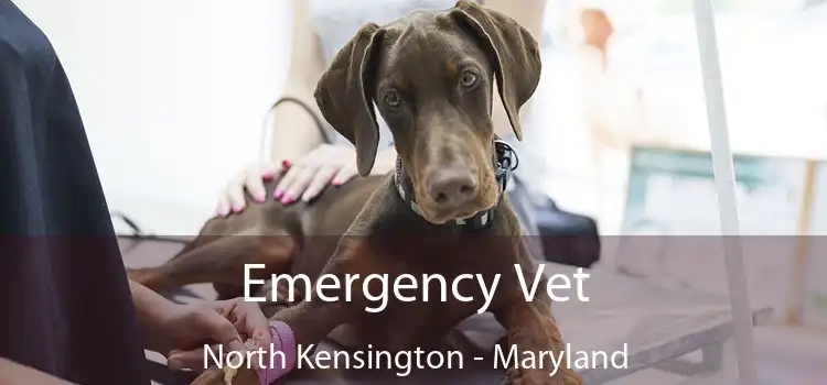 Emergency Vet North Kensington - Maryland