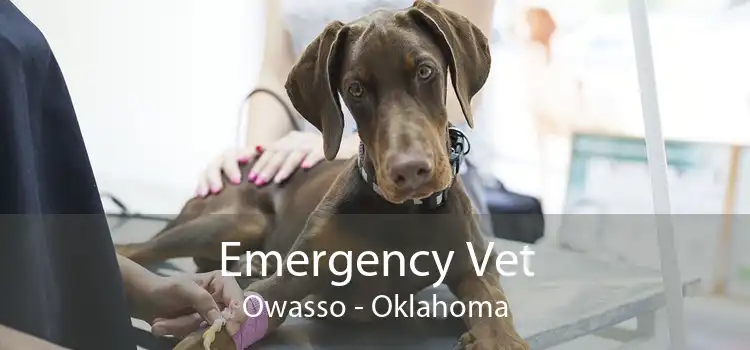 Emergency Vet Owasso - Oklahoma