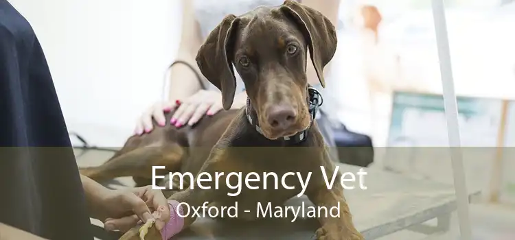 Emergency Vet Oxford - Maryland