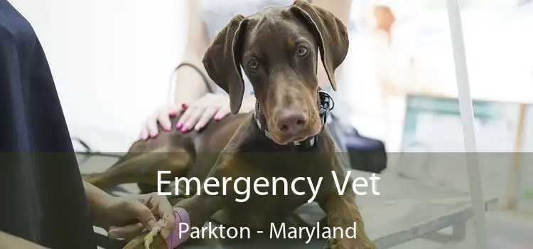 Emergency Vet Parkton - Maryland