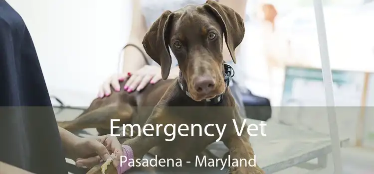 Emergency Vet Pasadena - Maryland