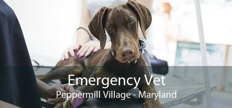 Emergency Vet Peppermill Village - Maryland