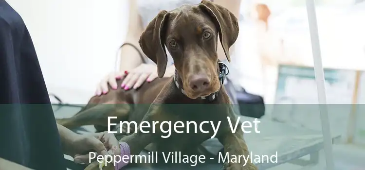 Emergency Vet Peppermill Village - Maryland