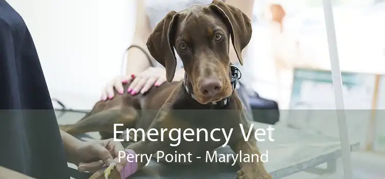Emergency Vet Perry Point - Maryland