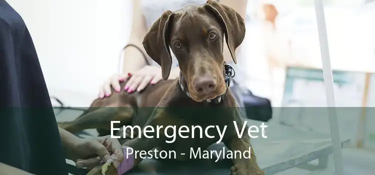 Emergency Vet Preston - Maryland