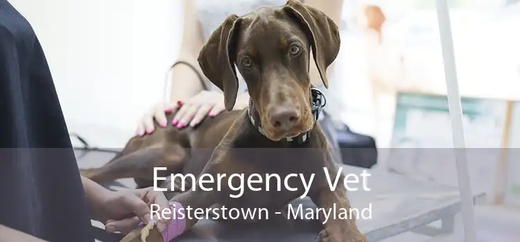 Emergency Vet Reisterstown - Maryland