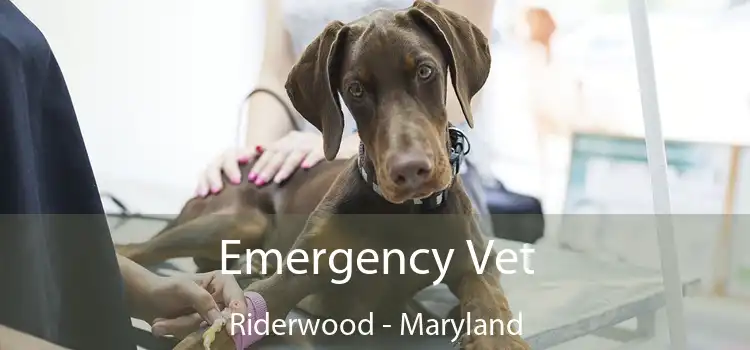 Emergency Vet Riderwood - Maryland