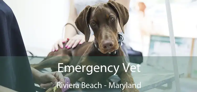 Emergency Vet Riviera Beach - Maryland