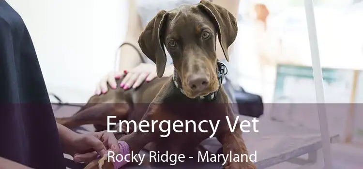 Emergency Vet Rocky Ridge - Maryland