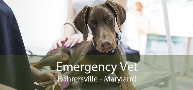 Emergency Vet Rohrersville - Maryland