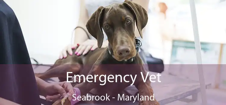 Emergency Vet Seabrook - Maryland