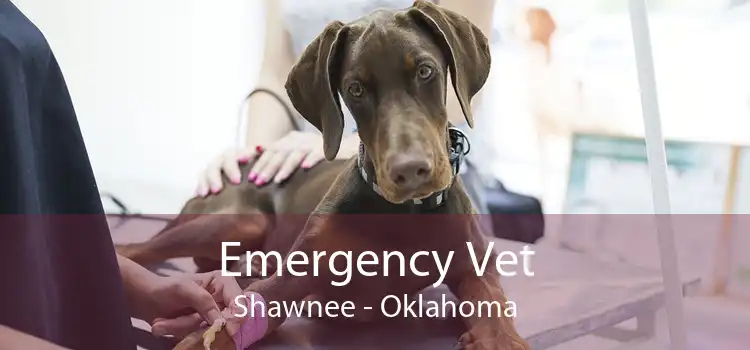 Emergency Vet Shawnee - Oklahoma