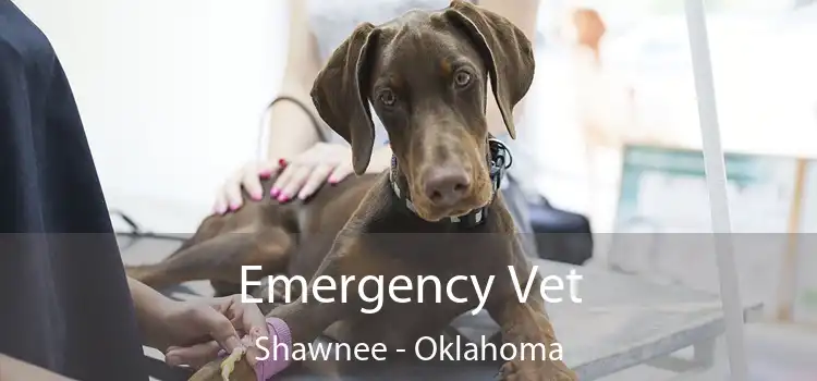 Emergency Vet Shawnee - Oklahoma