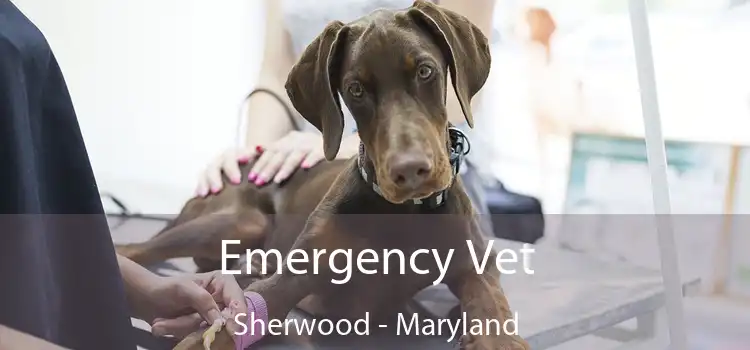 Emergency Vet Sherwood - Maryland