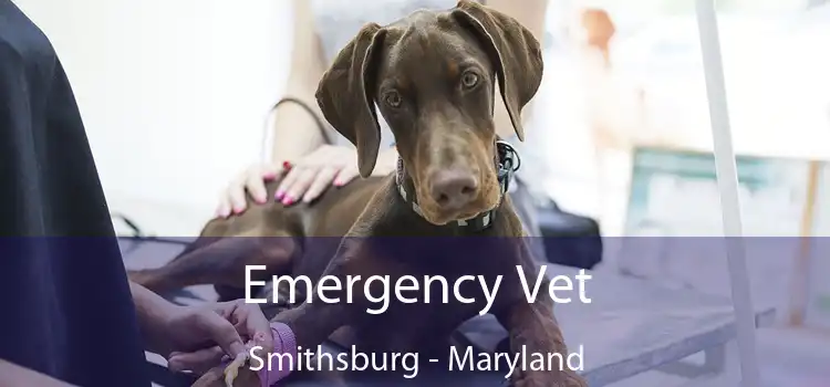 Emergency Vet Smithsburg - Maryland