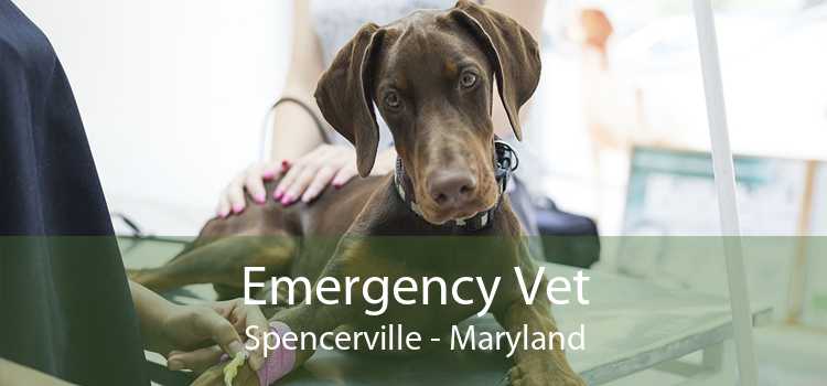 Emergency Vet Spencerville - Maryland