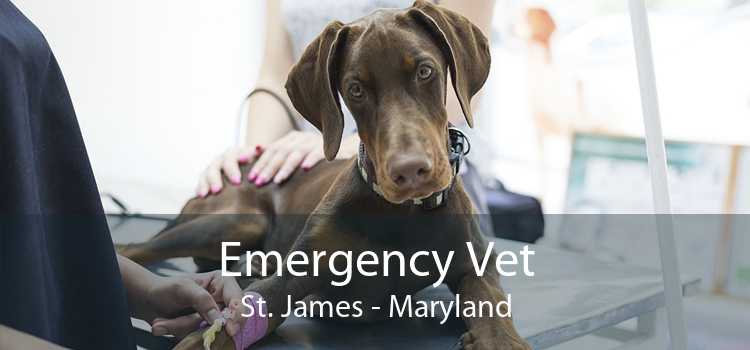 Emergency Vet St. James - Maryland