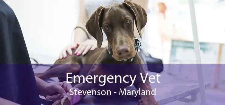 Emergency Vet Stevenson - Maryland