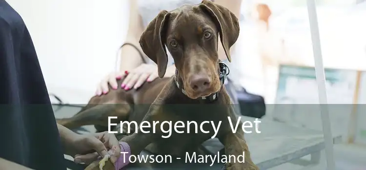 Emergency Vet Towson - Maryland