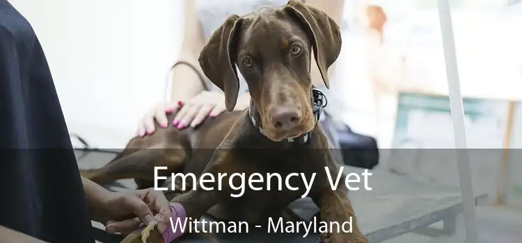 Emergency Vet Wittman - Maryland