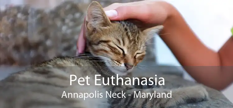 Pet Euthanasia Annapolis Neck - Maryland